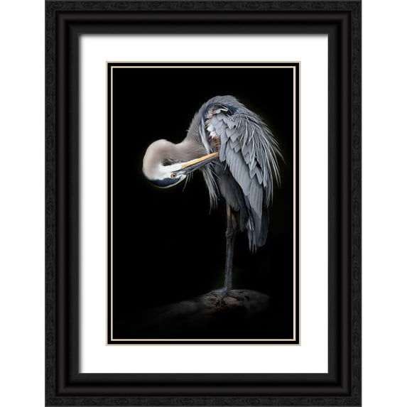 D Lester, Linda 17x24 Black Ornate Wood Framed with Double Matting Museum Art Print Titled - The Great Blue Heron