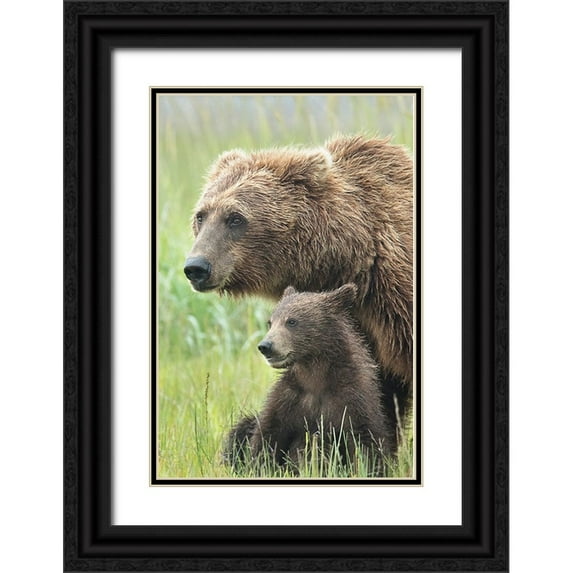 D Lester, Linda 23x32 Black Ornate Wood Framed with Double Matting Museum Art Print Titled - Momma Bear and Cub Portrait