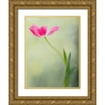thumbnail image 1 of D Lester, Linda 25x32 Gold Ornate Wood Framed with Double Matting Museum Art Print Titled - Spring Tulip, 1 of 4