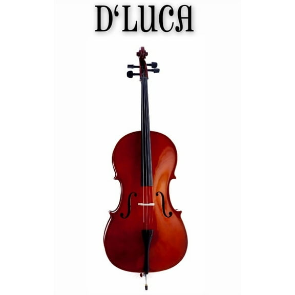 D'Luca Meister Handmade Ebony Fitted Cello 3/4