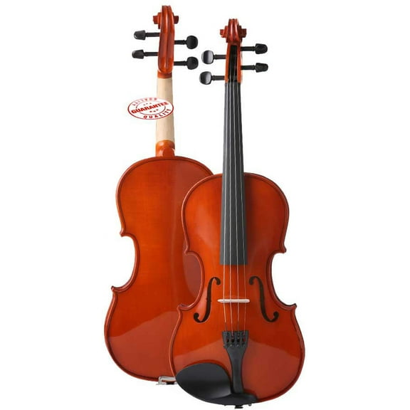 D'Luca Meister Student Violin Outfit 1/16