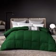 thumbnail image 1 of D.N.G. BEDDINGS 800 Thread Count 1 Piece Comforter, 100% Egyptian Cotton Cover, Damask Stripe, Twin/Twin XL Size, Green Color, 1 of 6