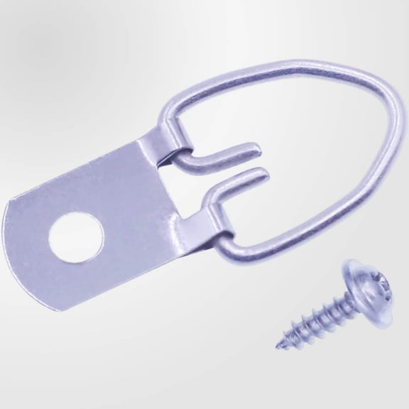 D-Ring Picture Hangers with Screws, Single Hole Picture Hanging Hardware for Mirror, Clock, Decoration, Paintings, Artwork Frame