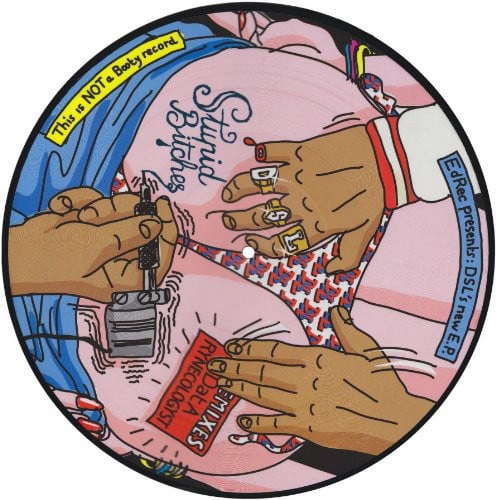 D.S.L. - Stupid Bitches - Electronica - Vinyl