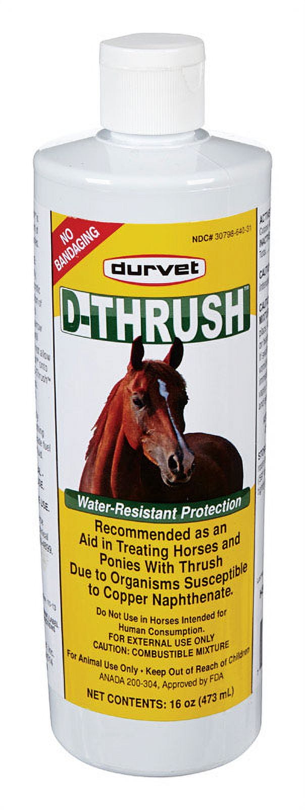 DTHRUSH HOOF TREATMENT(Pack of 1)