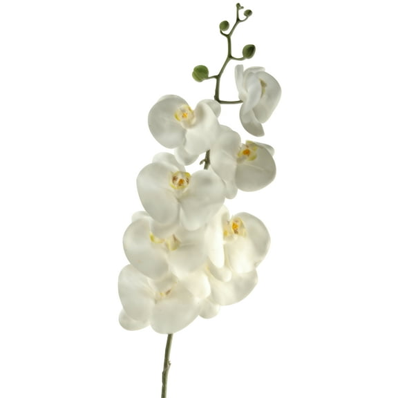 D&W Silks - 37.5" White Phael Orchid - Set of 3