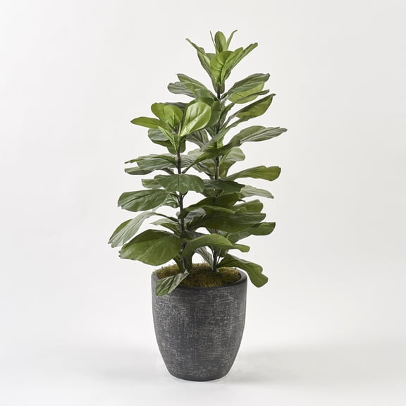 D&W Silks 46" Tall Fiddle Leaf Fig in Round Black Textured Planter