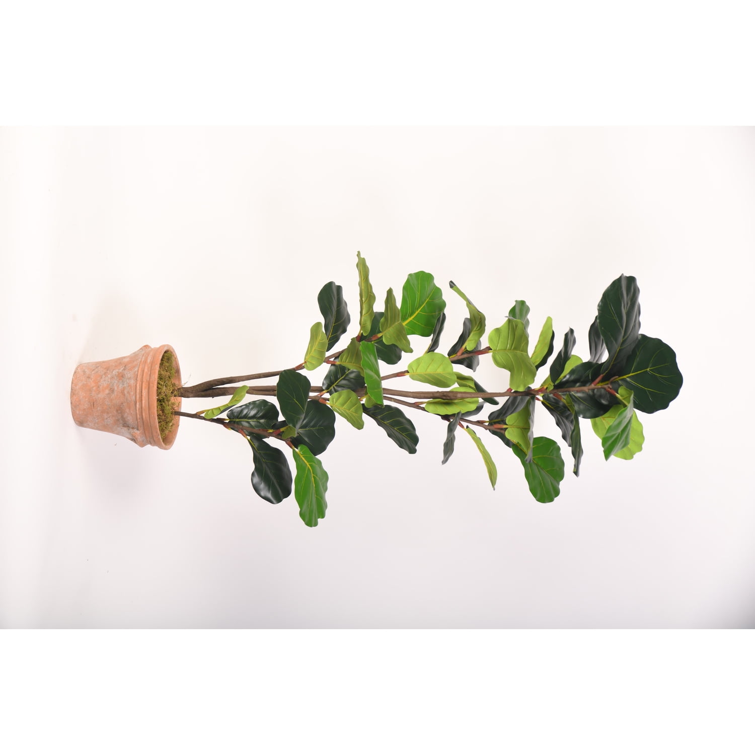 48" Green Silk Fiddle Leaf Fig Tree in Terra Cotta Planter