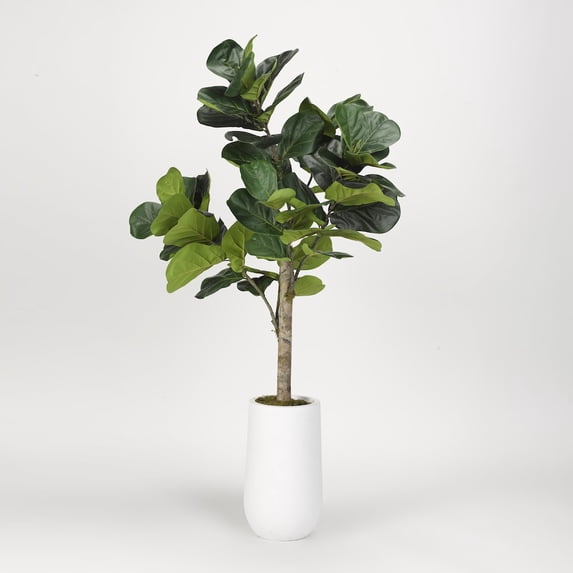 D&W Silks 5.5' Fiddle Leaf Fig Tree in Tall Round White Resin Planter