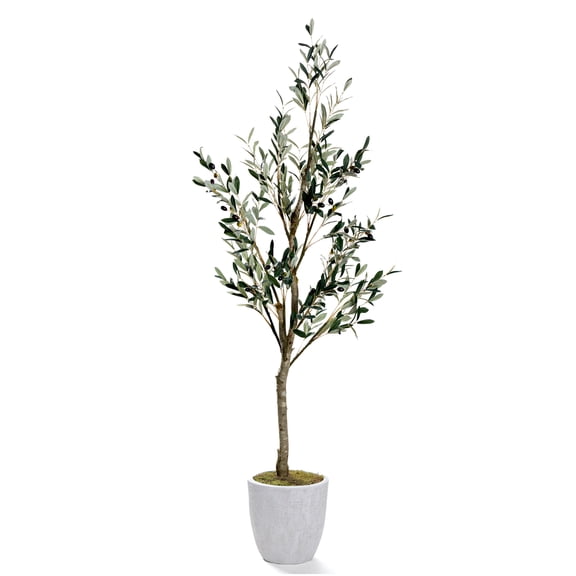 D&W Silks 6.5' Olive Tree in Round White Textured Planter