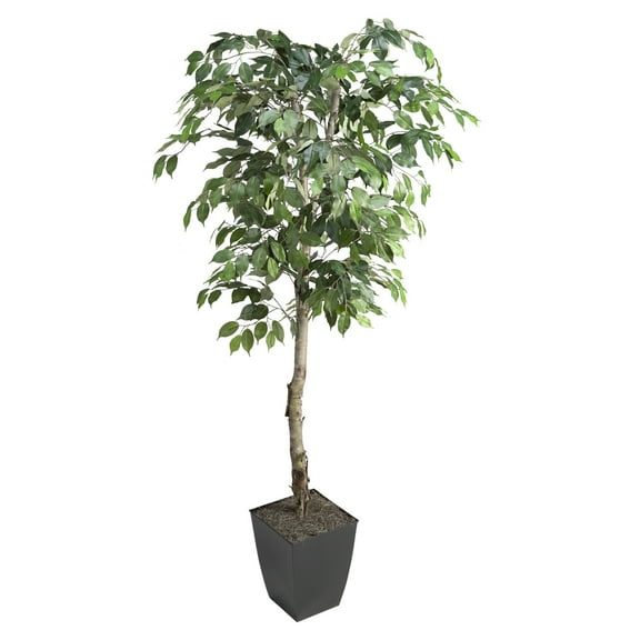 D & W Silks 6' Ficus Tree in Black Square Metal Planter