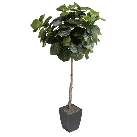 D & W Silks 6' Fiddle Leaf Fig Tree in Black Square Metal Planter