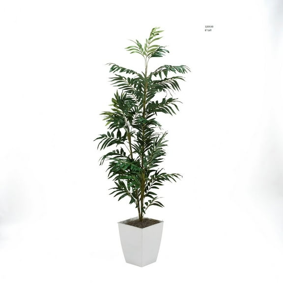 6' Phoenix Palm in White Square Metal Planter