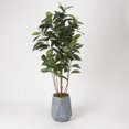 thumbnail image 1 of D&W Silks 6' Rubber Tree in Grey Resin Planter, 1 of 1