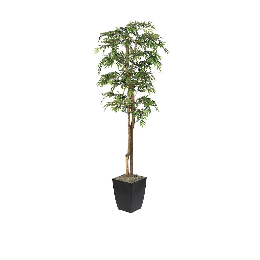 72" Green Faux Ruscus Tree in Black Metal Planter