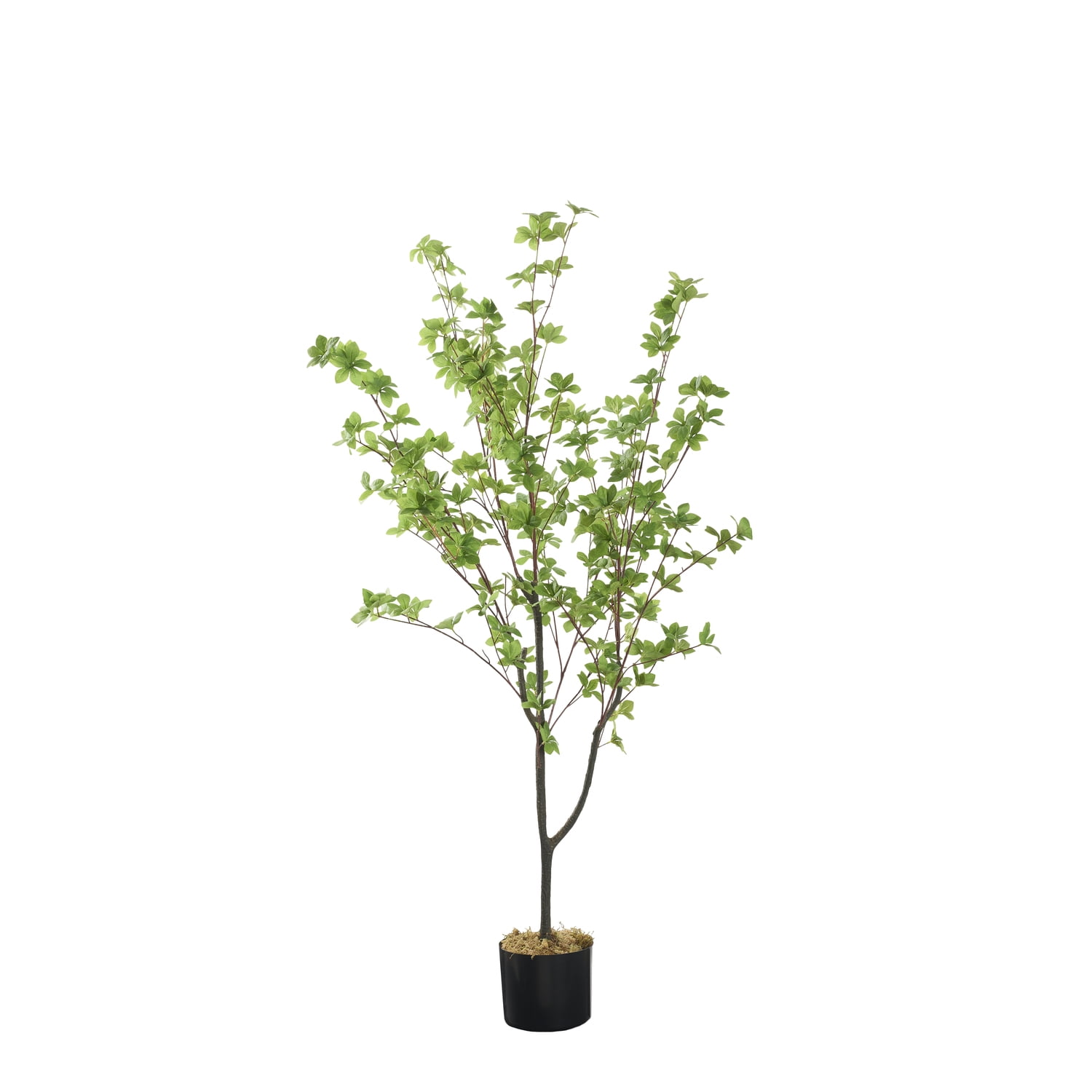 60" Green Silk Douban Tree in Black Plastic Planter