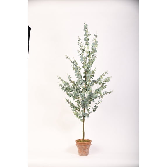 D&W Silks 60" Eucalyptus Tree in Terra Cotta Planter