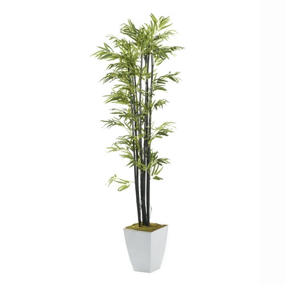 D&W Silks 7' Black Bamboo Tree in White Square Metal Planter