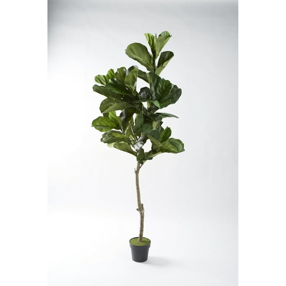 D&W Silks 7' Fiddle Leaf Fig Tree in Black Plastic Pot