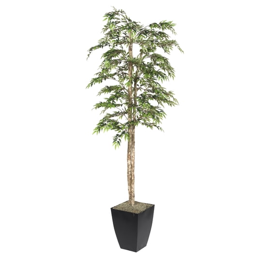 D&W Silks 7' Ruscus Tree in Black Metal Planter