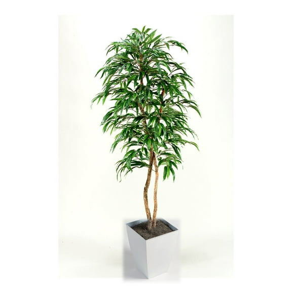 D&W Silks 7' Weeping Ficus Tree in White Square Metal Planter