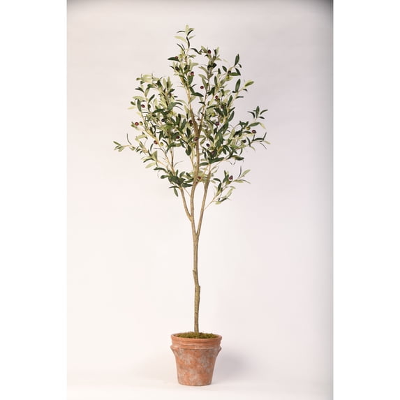 D&W Silks 72" Olive Tree in Terra Cotta Planter