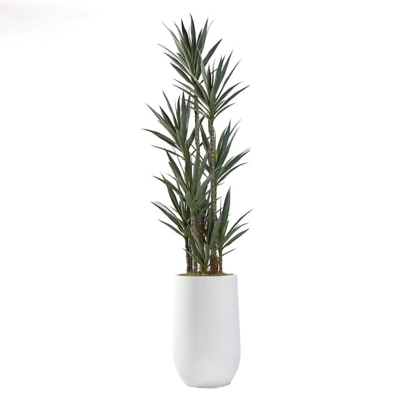 D & W Silks 8.5' Dracaena Tree in Large White Clay Planter