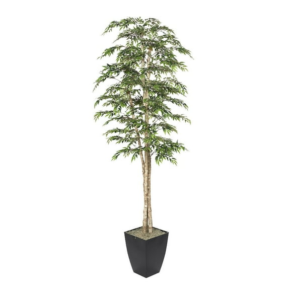 D & W Silks 8' Ruscus Tree in Black Metal Planter