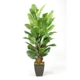 thumbnail image 1 of D&W Silks 8' Spath Tree in Black Square Metal Planter, 1 of 2