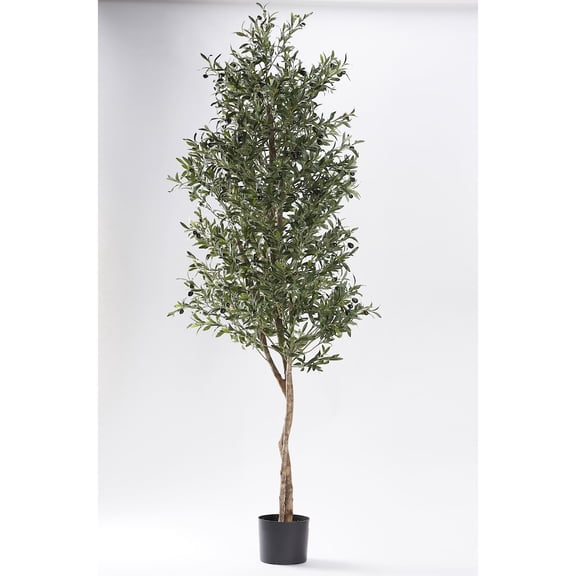 D & W Silks 80" Olive Tree in Black Plastic Pot