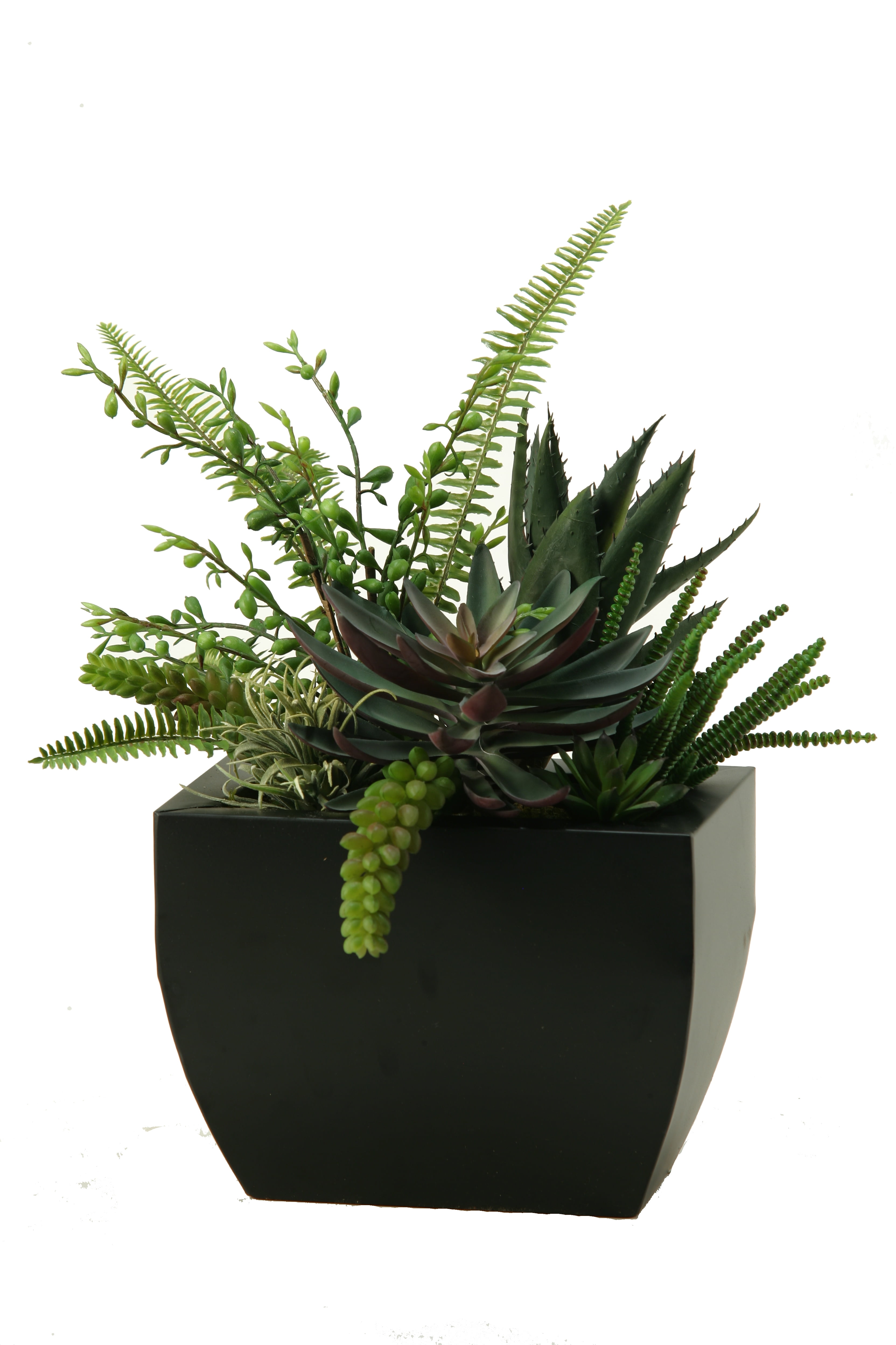 D&W Silks Aloe, Echeveria, Succulents in Rectangle Metal Planter ...