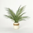 thumbnail image 1 of D&W Silks Areca Palm Fronds in Cream Ceramic Planter, 1 of 1