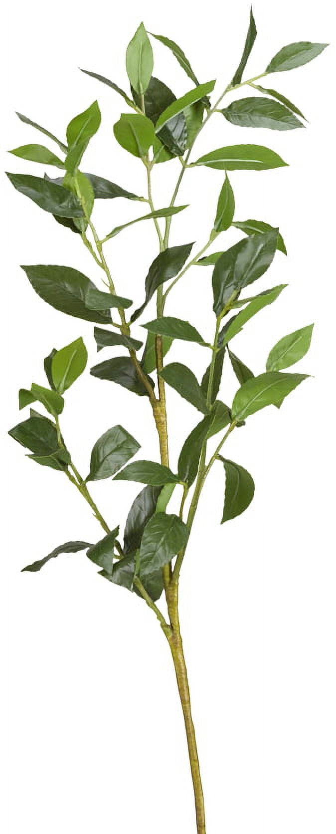 30" Green Silk Bay Leaf Spray Arrangement