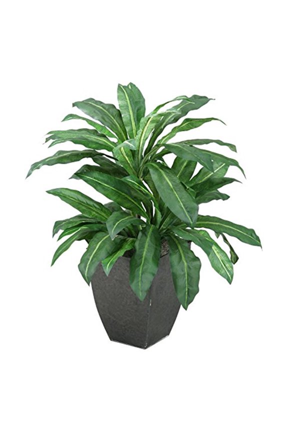 Birdnest Palm Silk Planter