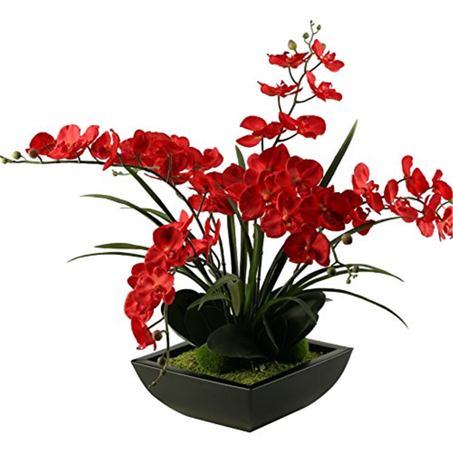 D&W Silks Deep Red Phael Orchids in Square Metal Planter
