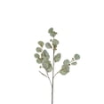 thumbnail image 1 of D & W Silks Eucalyptus Spray, 1 of 2