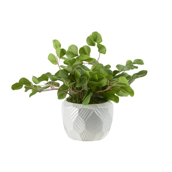 D&W Silks Eucalyptus in Large White Geometric Planter