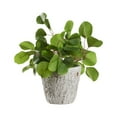 thumbnail image 1 of D&W Silks Eucalyptus in Small Weathered Oak Planter, 1 of 1
