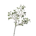 thumbnail image 1 of D&W Silks Frangipani Branch, 1 of 2
