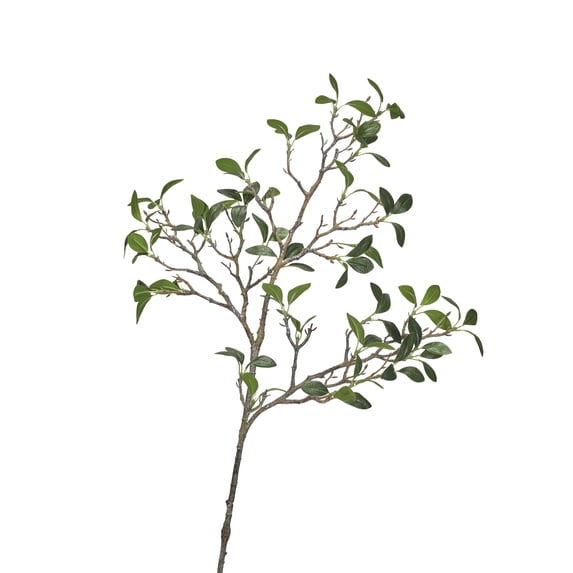 D&W Silks Frangipani Branch