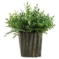 thumbnail image 1 of D&W Silks Green Locust Spray in Oval Ceramic Planter, 1 of 2