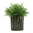 thumbnail image 1 of D&W Silks Green Locust Spray in an Oval Ceramic Planter, 1 of 2