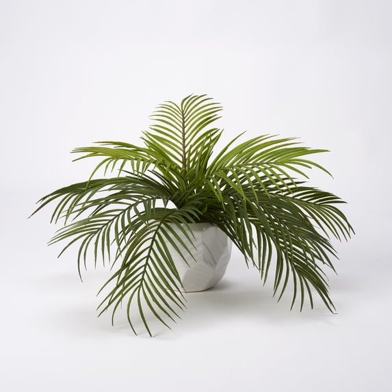 D&W Silks Hawaiian Palm in White Ceramic Planter