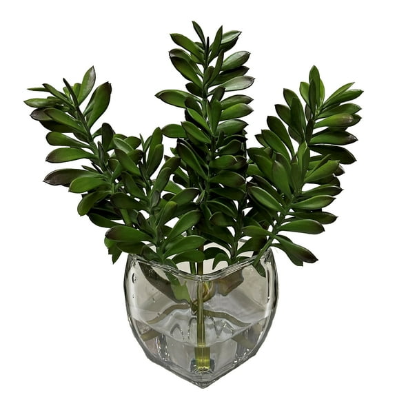 D&W Silks Jade Plant in Glass Cube