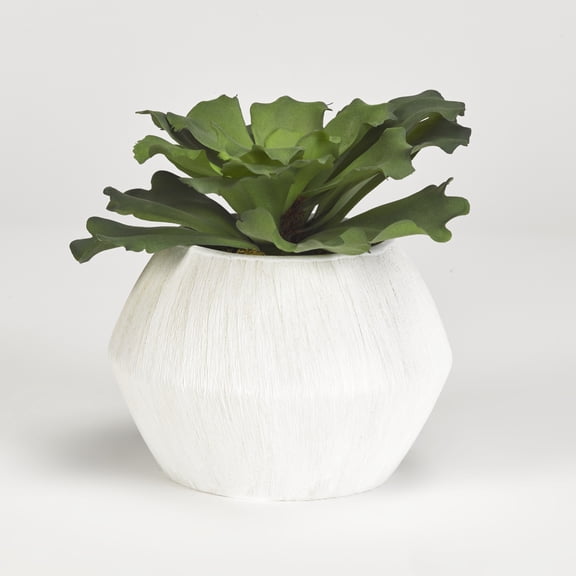 D&W Silks Large Ruffled Echeveria in White Ceramic Pot