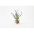 thumbnail image 1 of D&W Silks Lavender in Glass Cube, 1 of 1