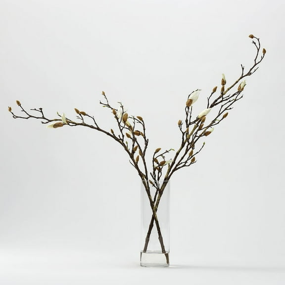 D & W Silks Magnolia Stems in Glass Cylinder
