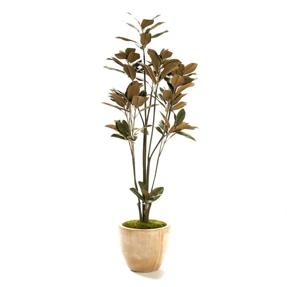 D & W Silks Magnolia Tree in Clay Bank Planter