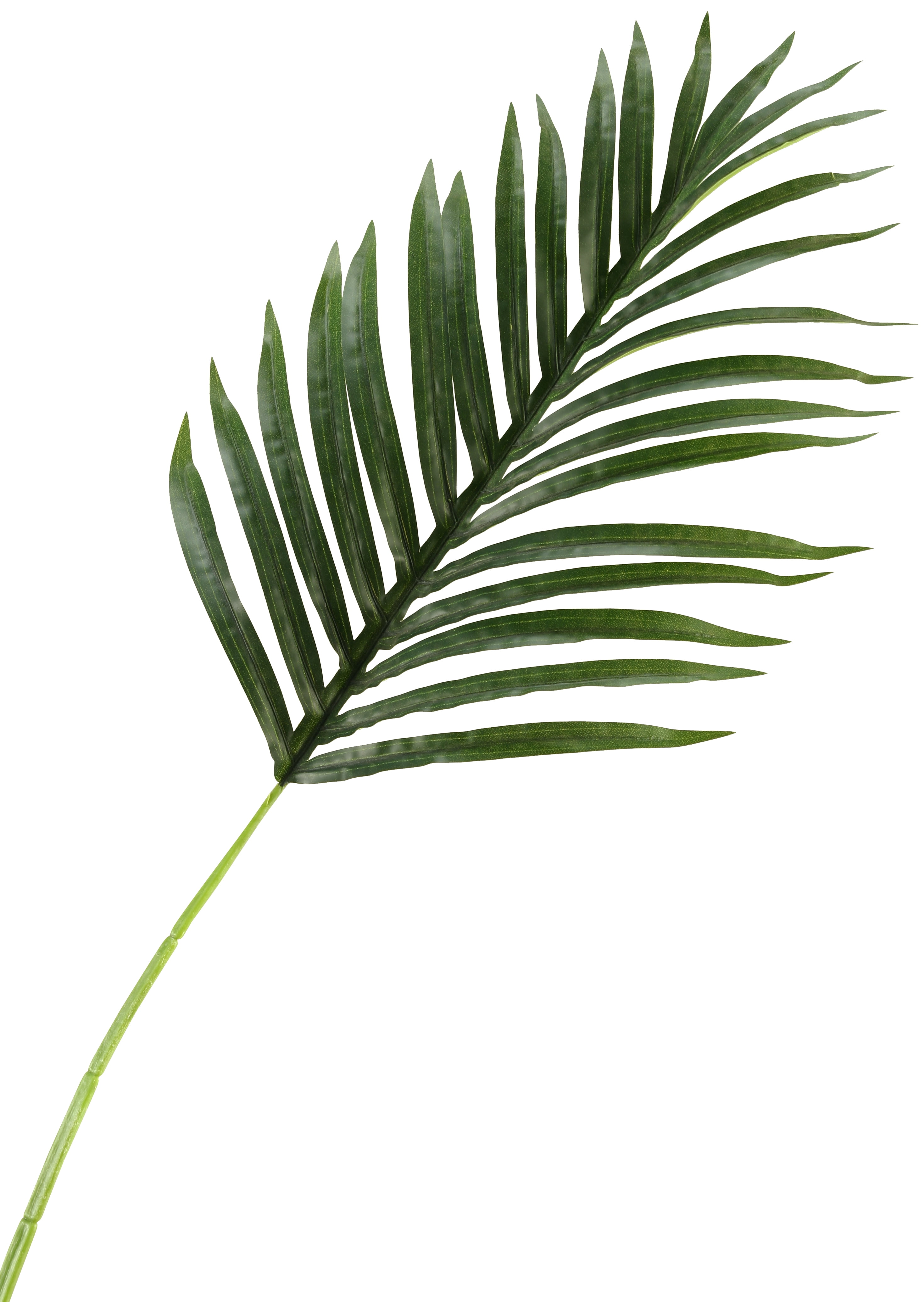 D&W Silks Medium Hawaiian Palm Leaf Set of 3