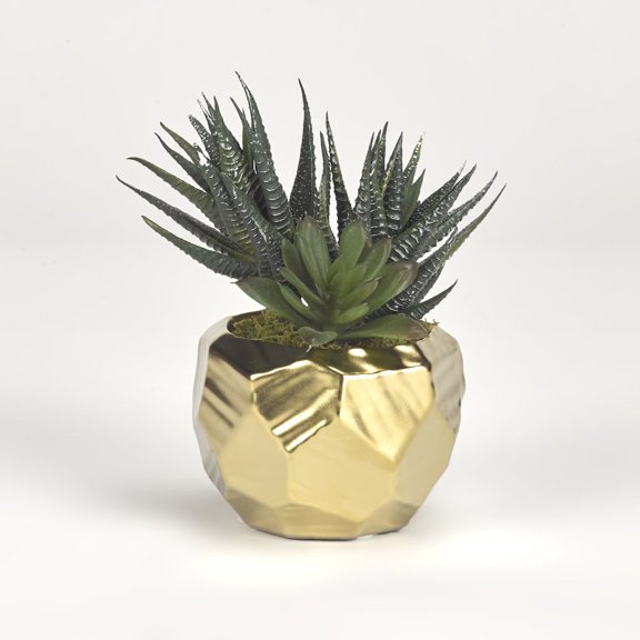 D & W Silks Mini Aloe Plants in Gold Ceramic Planter